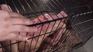 Pet girl in cage 26