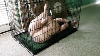 Pet girl in cage 30