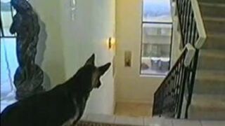 hardcore schoolgirls 6