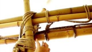 The 50th Time of Shit