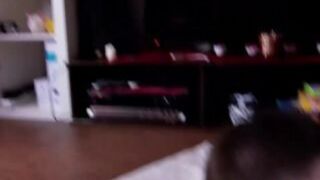 The Scat Dog Education P2