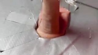 Bischop willy