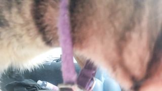 enjoying a pattern someone special made for me