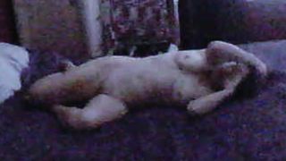 Mature naked on the bed