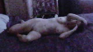 Mature naked on the bed