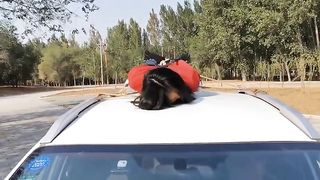 Chinese Girl outdoor exhibitionism BDSM Training 184