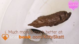 Stinky load in toilet