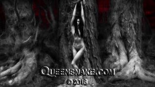 QS toilet brush fuck 1