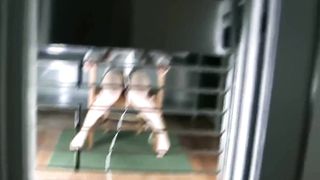 Pet girl in cage 36