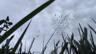 encage57 nude punition