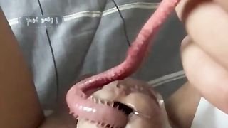 Worn in penis insertion