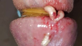 Bizarre cbt insertion bdsm pervers maggots