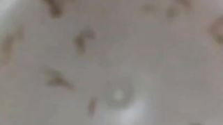 Bizarre cbt insertion bdsm pervers maden