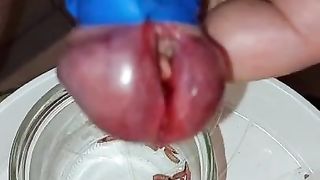 Bizarre cbt insertion bdsm pervers maggots