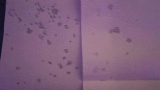 Viel Spritzer Lümmel