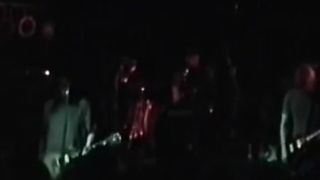 Need a porn break screaming trees