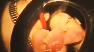 Those crazy Germans getting freaky