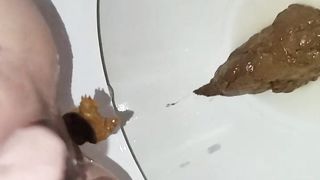 Kitty Skatt shits on toilet