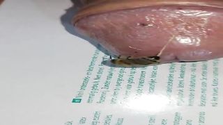 Bizarre cbt insertion bdsm pervers