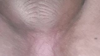 Long scat