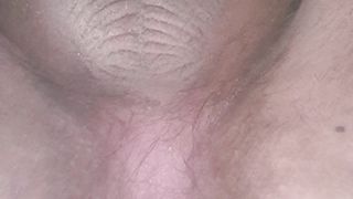 Long scat
