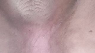 Long scat