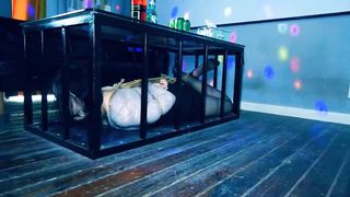Pet girl in cage 45