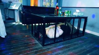 Pet girl in cage 45