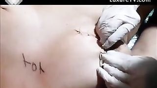Breast and pussy sewing