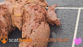 Kitty skatt takes a soft shit