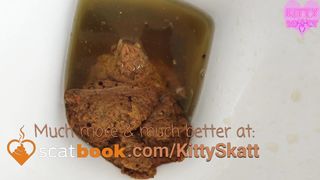 Kitty Skatt toilet shitting