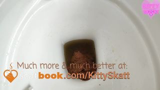 Kitty Skatt toilet shitting