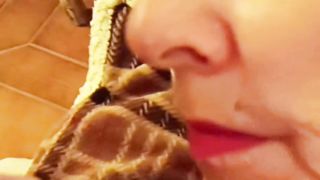 Sylvia Ringer : Cum Swallows