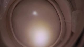 Toilet POV Week