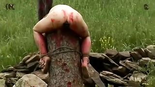 Life on the farm