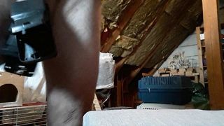CBT, Schwanz, Eier, Schmerz, Amateur