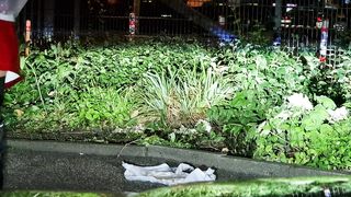 Windel vollpissen in Hamburg