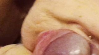 Sylvia Ringer : Cumshot