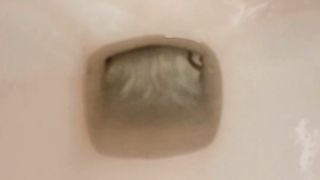Kitty Skatt load on toilet