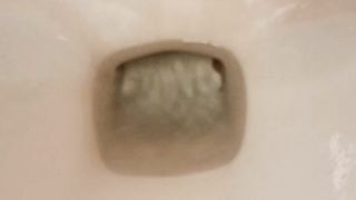 Kitty Skatt load on toilet