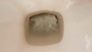 Kitty Skatt load on toilet