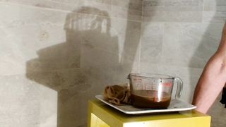 Scat smoothie