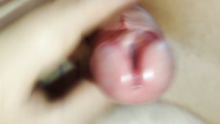 Split head penis cum
