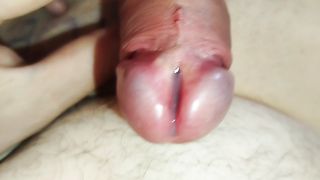 Split head penis cum