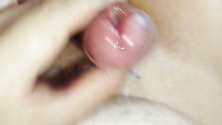 Split head penis cum