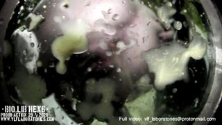 "BIO.Lib HEX6"  {web trailer}