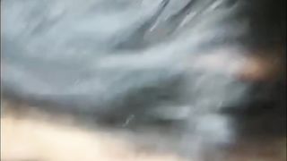 Nice Blowjob from Teen