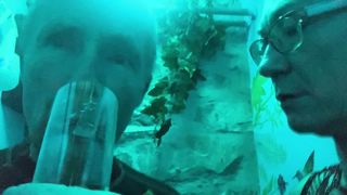 Olibrius71 and stupide Timea