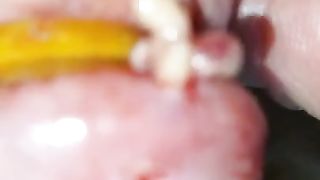 Bizarre cbt insertion bdsm pervers insect