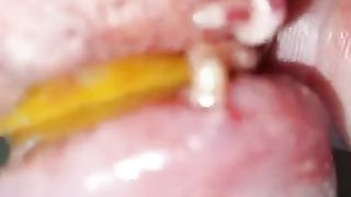 Bizarre cbt insertion bdsm pervers insect